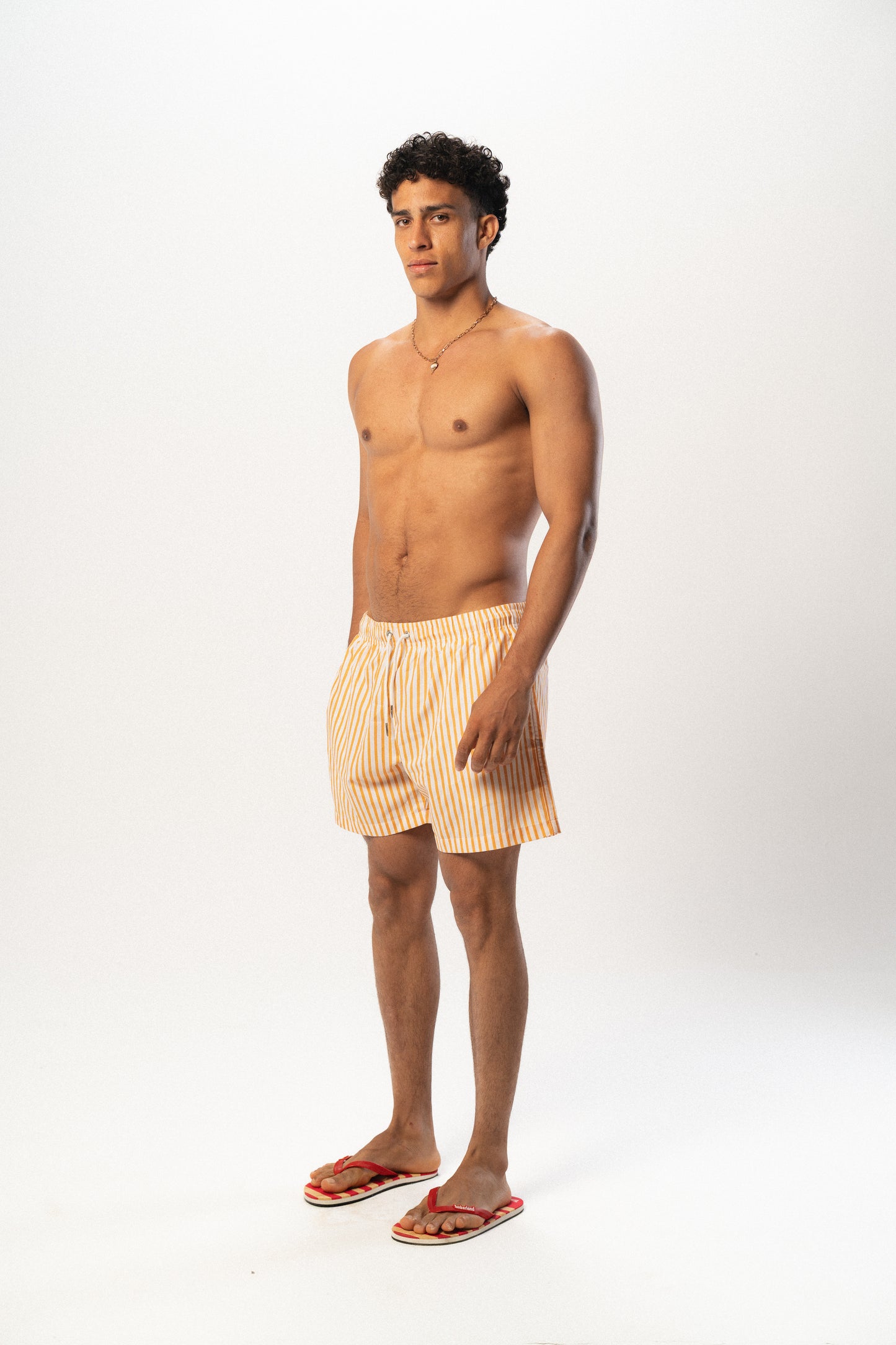 Cabana Stripe Swimshorts