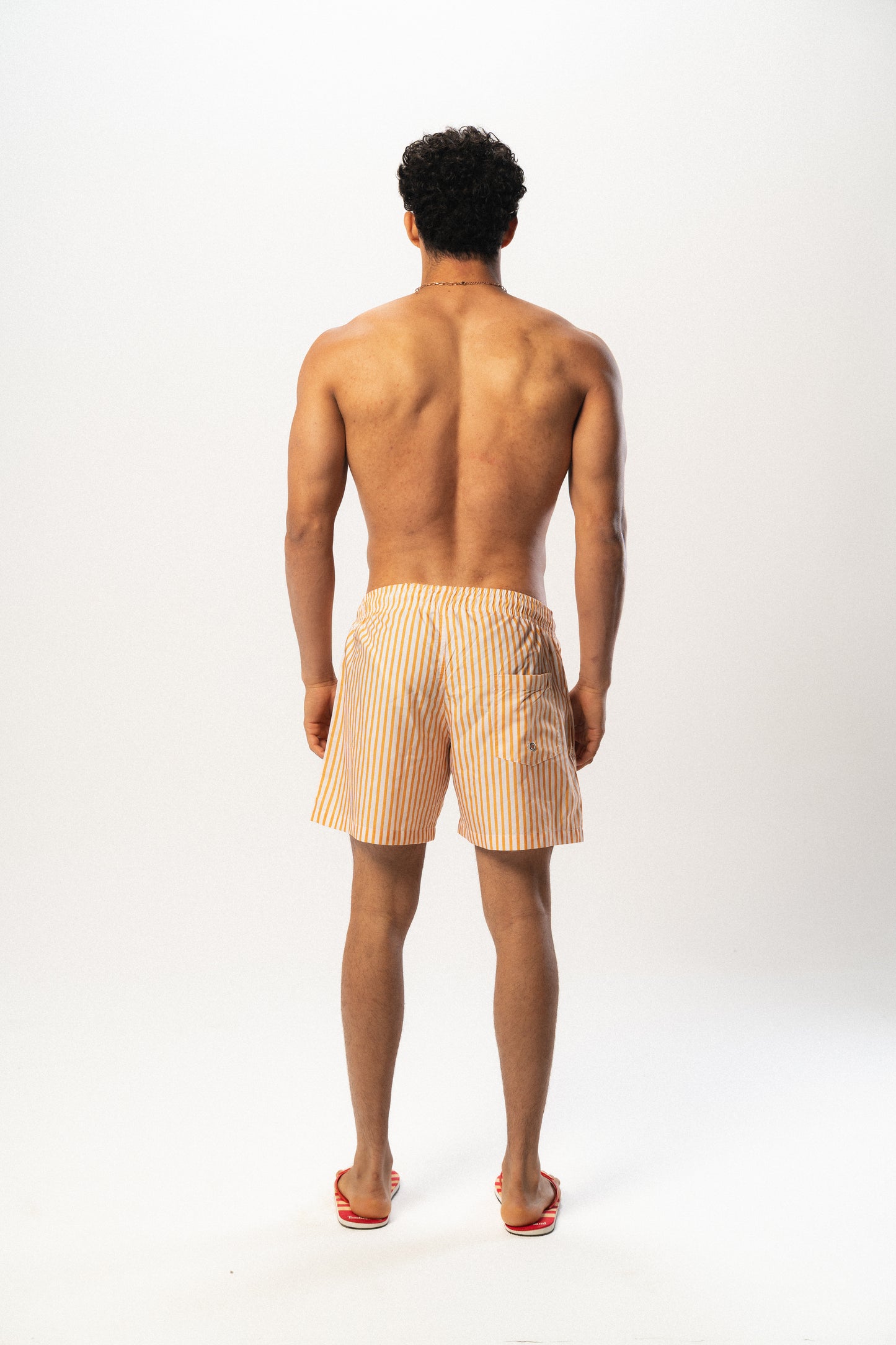 Cabana Stripe Swimshorts